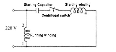 C-3.jpg